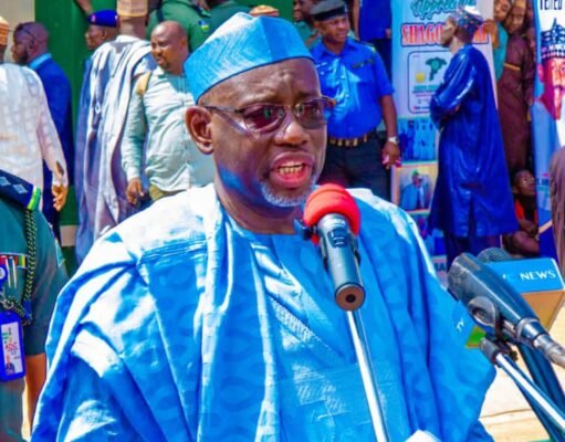 Inside Danmodi’s Social Protection: The Deeds and the Needs