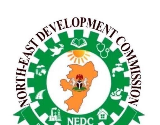 NEDC Introduces E-Vehicles, Health Insurance Scheme in Adamawa