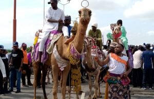 2025 world cultural/tourism day : Adamawa Poise To Harness Cultural Diversity To Promote Investment