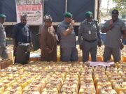 Customs intercept smuggled petroleum products worth N181.6M in Adamawa