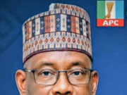 Danmodi and the Struggle to Rebuild Rural Jigawa