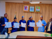 Jigawa On Track To Achieve 500,000 Hectares of Rice Production By 2030