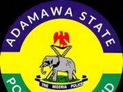 Police arrest 2 over murder of 3 farmers in renewed tribal clash in Adamawa.