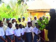 Climate Education: The Key to a Sustainable Future – Expert