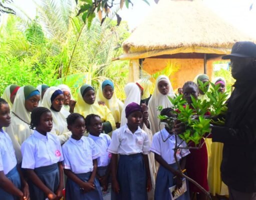 Climate Education: The Key to a Sustainable Future – Expert