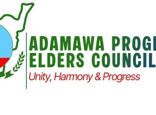 2027 : Adamawa Elders Council endorse Bola Tinubu’s second term in office.