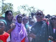 Cameroon Govt Commends Borno State Govt on Repatriation Efforts