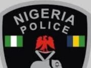 Police Arrest Suspects for Armed Robbery, Cattle Rustling in Jigawa