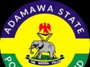 Man arrested For alleged kidnapping Activities In Adamawa