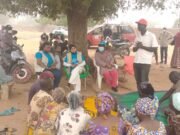 Adamawa: Invest on first 1,000 days to safeguard the child ‘s future – Experts advised