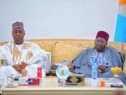 Zulum Pledges Jobs, Skills Training for Borno Youth