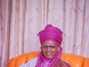 Tashe, Gwauro Restrictions Risk Eroding Hausa Cultural Values — Tafarkin Gombe