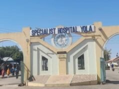 Yola Specialist hospital Casual workers protest termination notice,seek reversal.