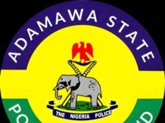 Police arrest two over alleged murder of friend at birthday party in Adamawa