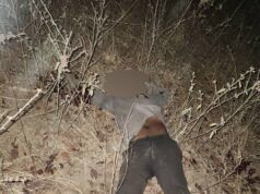 Troops Neutralise Criminal Threats in Jos North, Wase as Counter-Terrorism Deployment Records Early Gains