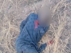 Troops Neutralize Terrorists, Recover Arms in Plateau