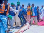 Kalgwai Fishing Festival : Gov Namadi Promises To Boost Fish Production in Jigawa