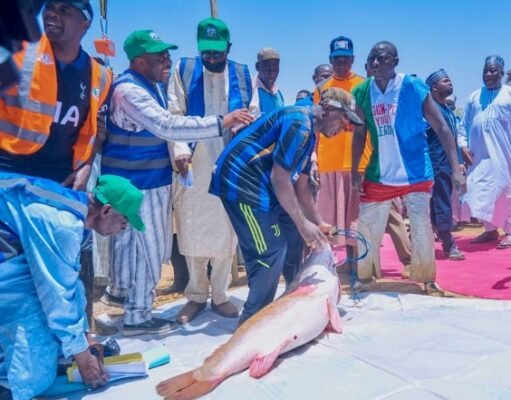 Kalgwai Fishing Festival : Gov Namadi Promises To Boost Fish Production in Jigawa