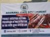 Malnutrition: Adamawa,Unicef launches child’s first 1,000 days nutrition program