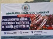 Malnutrition: Adamawa,Unicef launches child’s first 1,000 days nutrition program