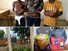Police Arrests Suspects for Vandalizing Transformer Cables In Yobe